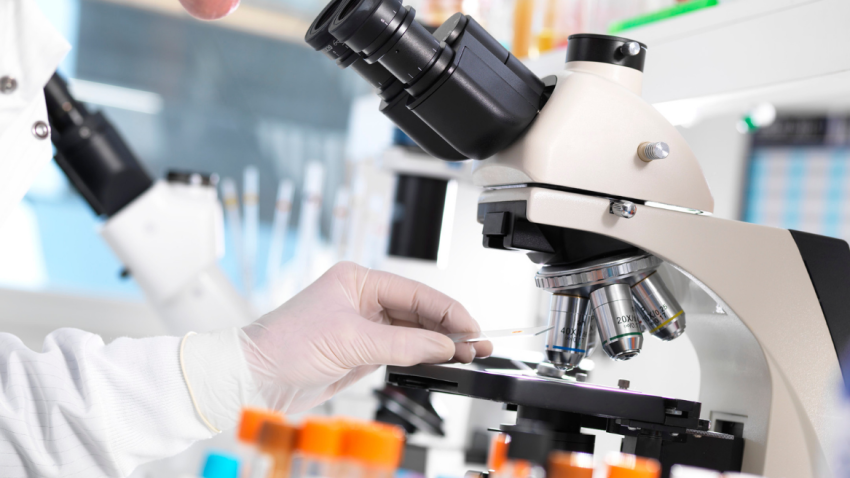 What Your Blood Test Results Can Tell You About Your Health - A Beginner’s Guide